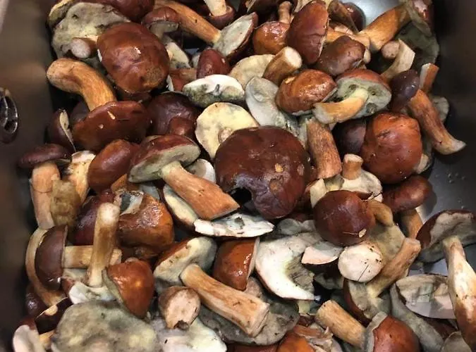 Сasa de vacaciones Jeziorna *